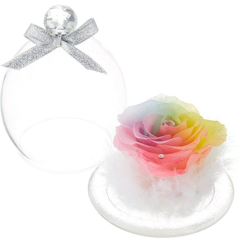 Sale 101 Off フローラルベビードール プリザーブドフラワー レインボーローズ ガラスドーム Cisama Sc Gov Br