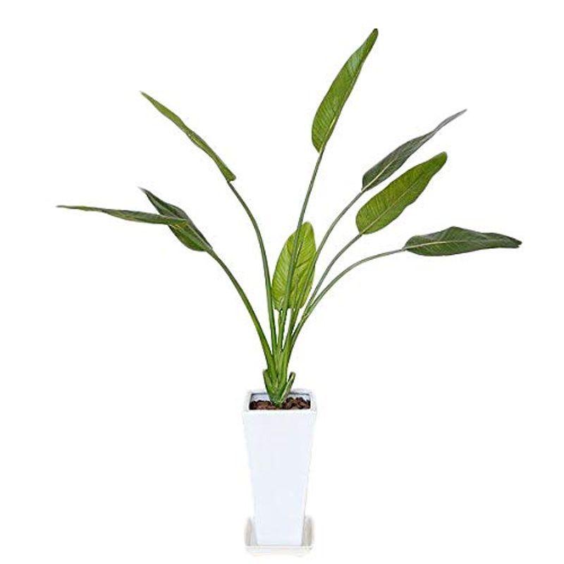 海外お取寄せ商 人工観葉植物 ストレリチア レギネ ロングスクエア陶器鉢 光触媒加工 東京 公式 グッズ 販売 店舗 Cursosdigitales Lacosta Gob Ar