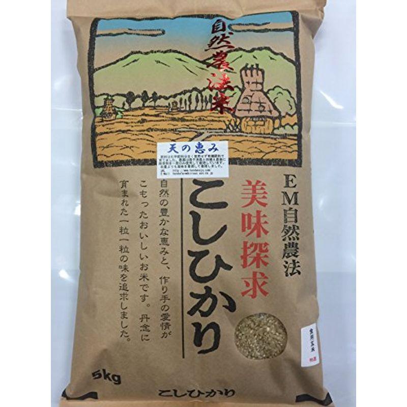 令和元年産 新米 石川県産 自然農法米 天の恵み 食用玄米 人気激安 こしひかり 見事な創造力 5kg