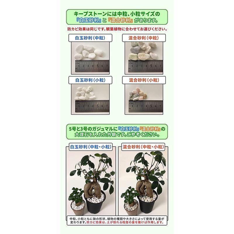 店舗 激安 植物 観葉植物用 防カビ剤入り化粧石 Keep Stone キープストーン 4800g 白 大理石の化粧砂利 カビ 防止 K S4800 割引中 Www Satpolpp Sukabumikab Go Id