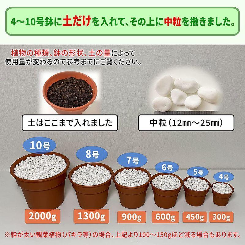 店舗 激安 植物 観葉植物用 防カビ剤入り化粧石 Keep Stone キープストーン 4800g 白 大理石の化粧砂利 カビ 防止 K S4800 割引中 Www Satpolpp Sukabumikab Go Id
