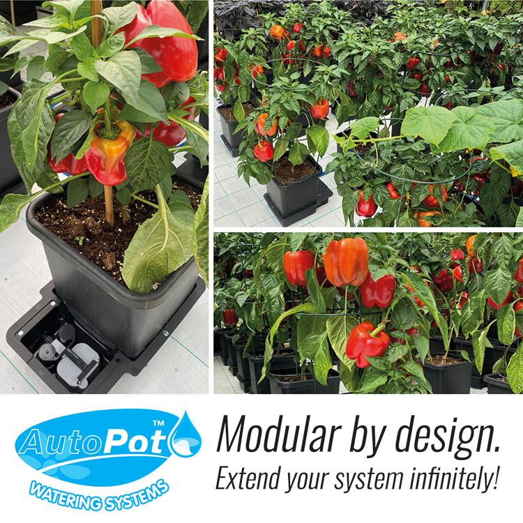 AutoPot 4Pot System オートポット 4株用 自動散水キット : ZiPPY