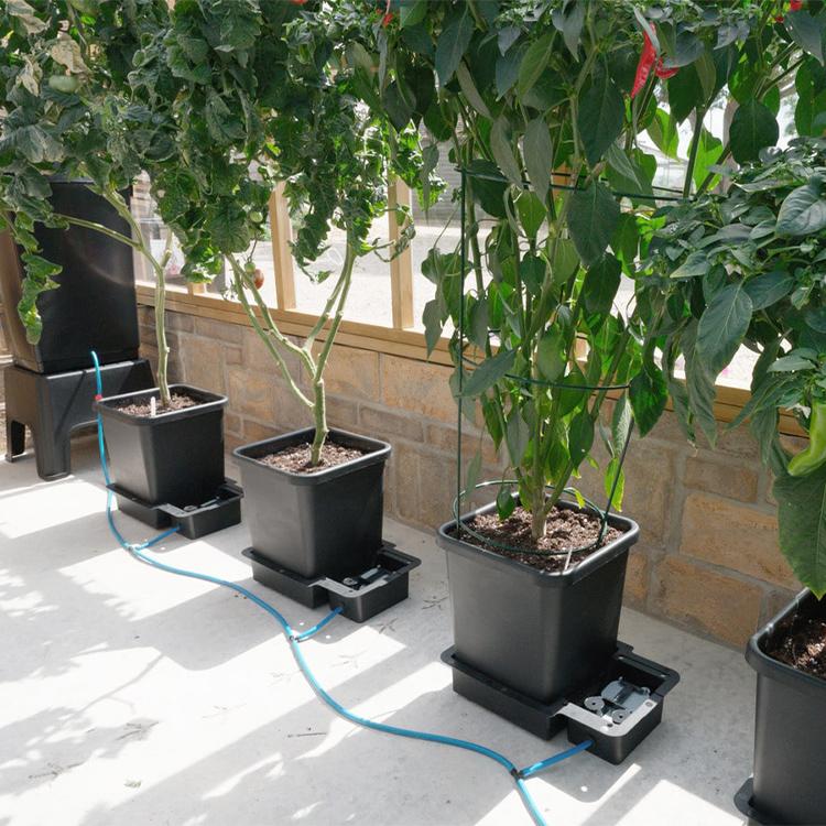 AutoPot 4Pot System オートポット 4株用 自動散水キット : ZiPPY
