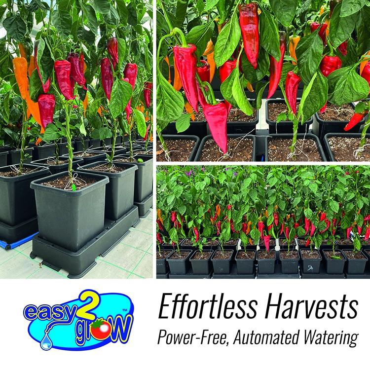 AutoPot easy2grow イージー2グロウ 2株用 自動散水キット |  | 03