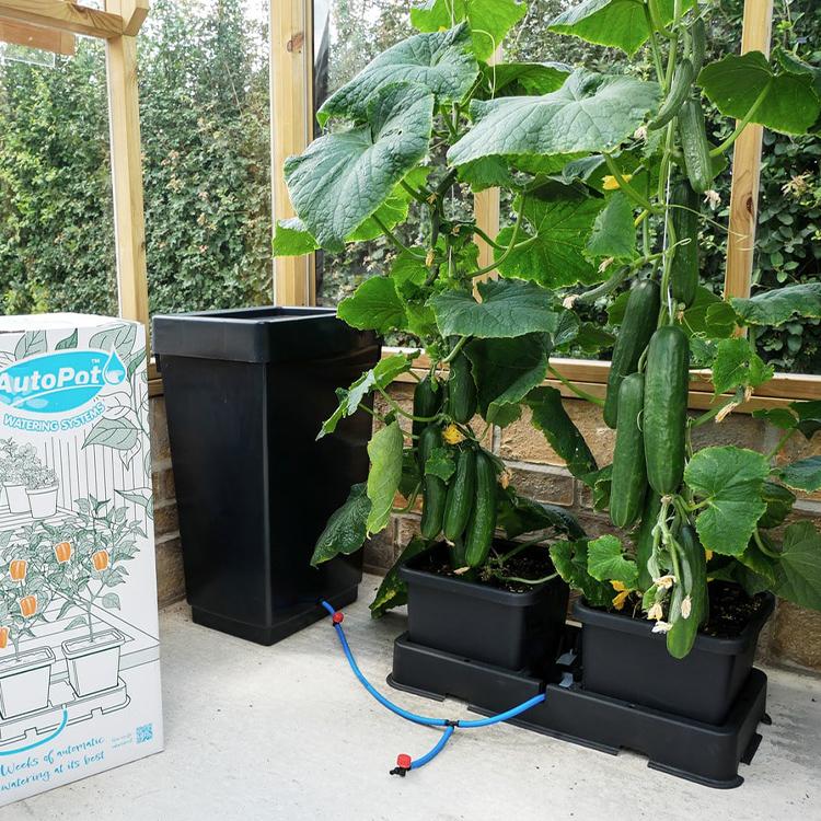 AutoPot easy2grow イージー2グロウ 2株用 自動散水キット |  | 02