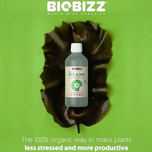 オーガニック活力剤 Biobizz - Alg A Mic 500ml バイオビズ アルガミック｜zippy｜02
