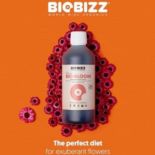 オーガニック肥料 Biobizz - Bio Bloom 1000ml バイオビズ バイオブルーム｜zippy｜02