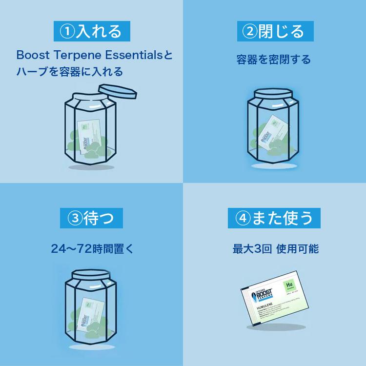 【メール便対応】 Integra Boost テルペンエッセンシャル 62％ 調湿剤 4グラム |  | 07
