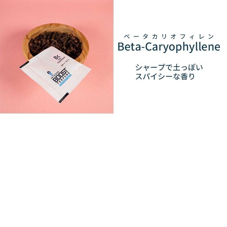 【メール便対応】 Integra Boost テルペンエッセンシャル 62％ 調湿剤 4グラム |  | 10