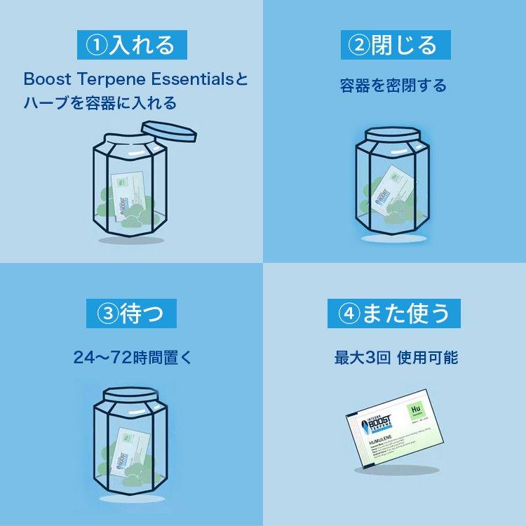 【メール便対応】 Integra Boost テルペンエッセンシャル 62％ 調湿剤 67グラム |  | 05