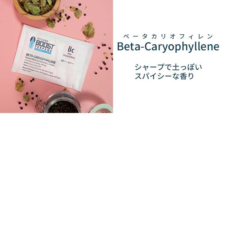 【メール便対応】 Integra Boost テルペンエッセンシャル 62％ 調湿剤 67グラム |  | 07