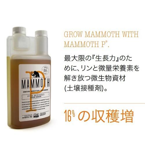 Mammoth P 250ml マンモスP Mammoth P 微生物学 内容
