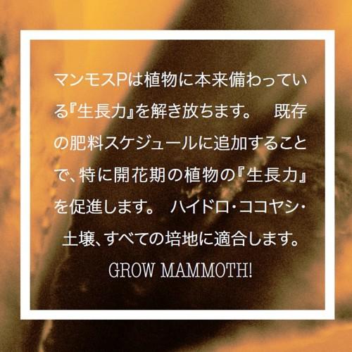 微生物資材 MAMMOTH P 500ml マンモスP 