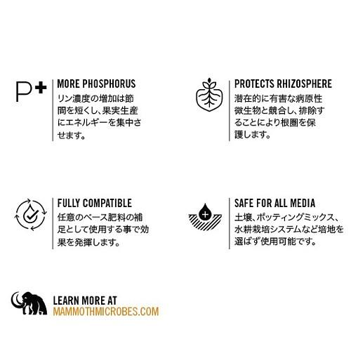 微生物資材 MAMMOTH P 500ml マンモスP 