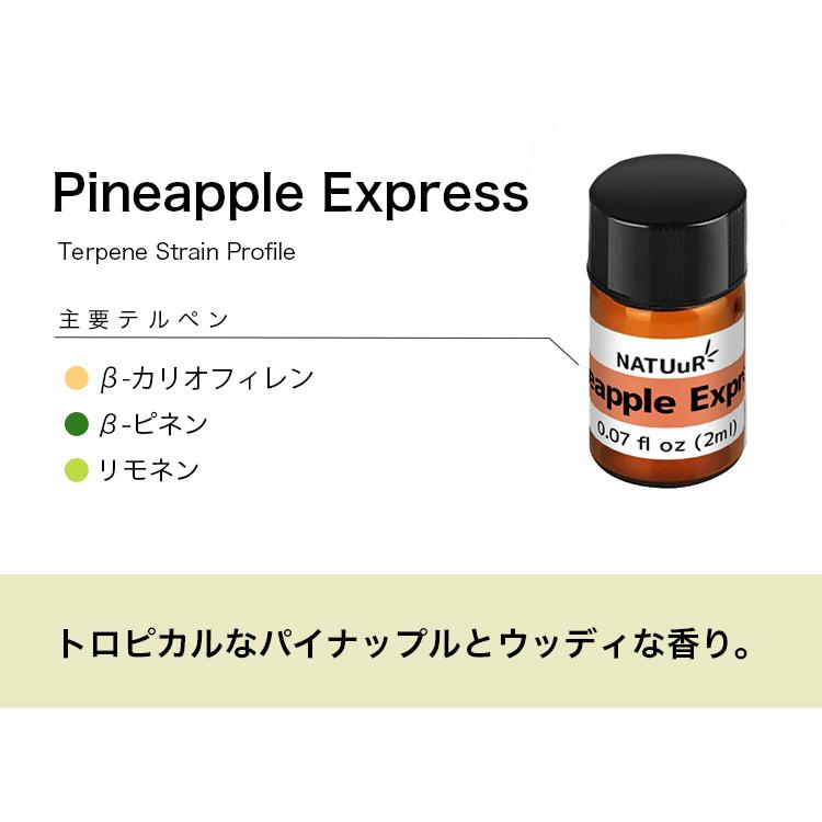 NATUuR - テルペン Strain Profile Terpenes 2ml |  | 14