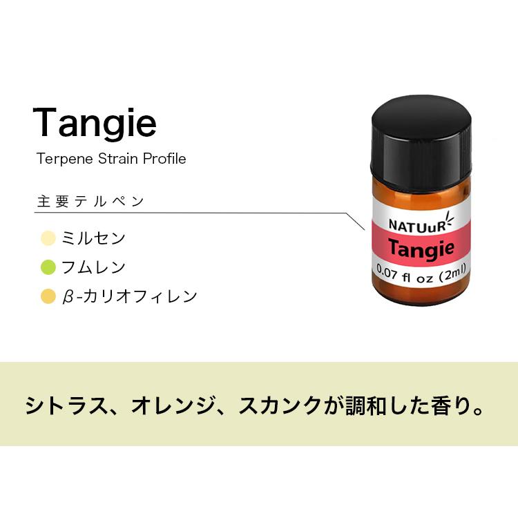 NATUuR - テルペン Strain Profile Terpenes 2ml |  | 13