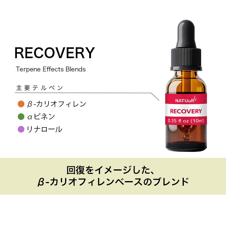 NATUuR - テルペン Terpene Effects Blends 10ml |  | 05