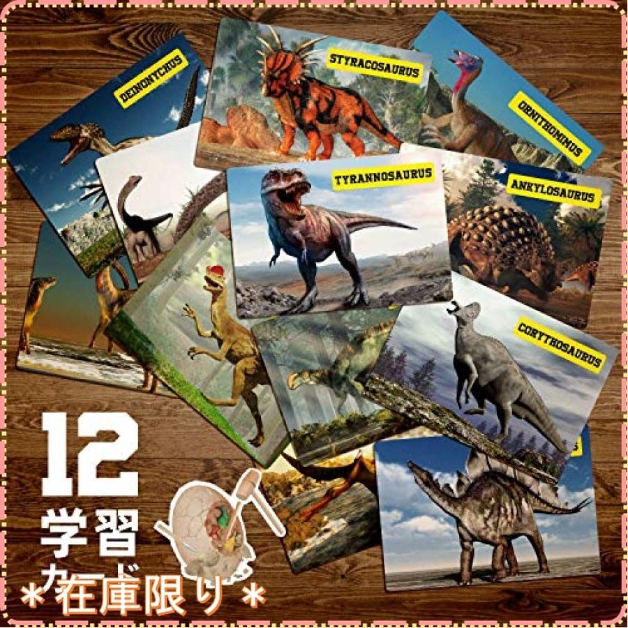 Xxtoys 恐竜おもちゃ 恐竜発掘キット ティラノサウルス ジャイアント恐竜卵 大恐竜卵 恐竜12種 子供 プレゼント Wss 10lai7b0ux7w ジスクージ 通販 Yahoo ショッピング