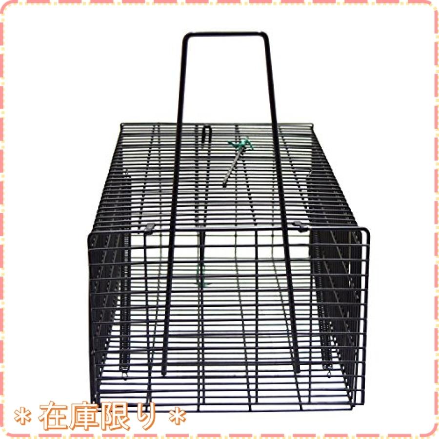 本物 高儀 ねずみ捕獲カゴ 角型 大 ブラック Rmb Com Ar