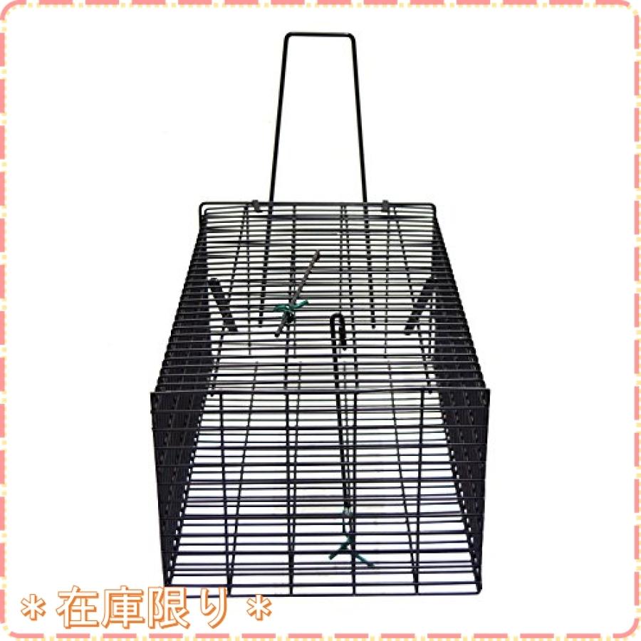 本物 高儀 ねずみ捕獲カゴ 角型 大 ブラック Rmb Com Ar