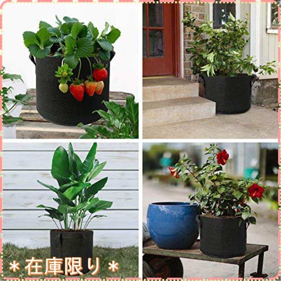 Beansfun 超大型プランター フェルト 不織布ポット ガロン 3個 植木鉢 通販 植木ポット 丸型 タフガーデンバッグ 植物