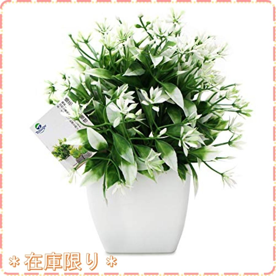 Tossow 人工観葉植物 造花 フェイクグリーン フェイク観葉植物 四方鉢 インテリア プレゼント 緑と白い葉 Wss 24zovnr5z370 ジスクージ 通販 Yahoo ショッピング