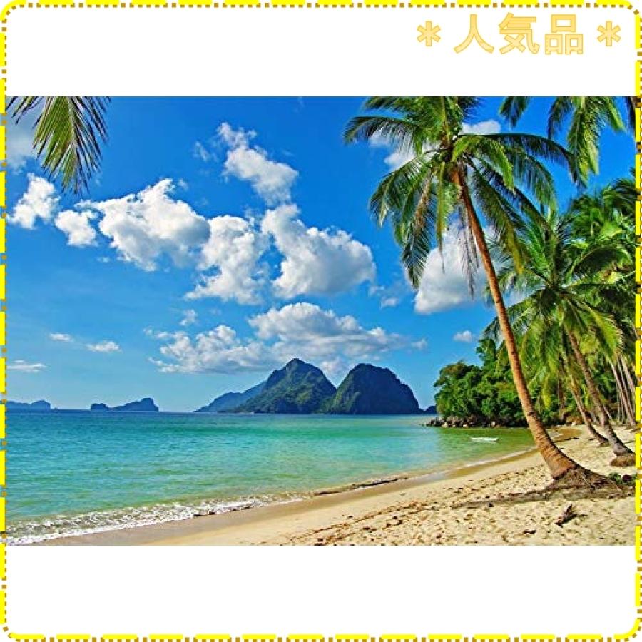 Qinunipoto 背景布 夏の熱帯の島 ビーチ南国 トロピカル 2 1m 1 5m シーサイド 写真の背景 写真撮影用 写真の背景 写 Wss 47mlsgepmjip ジスクージ 通販 Yahoo ショッピング