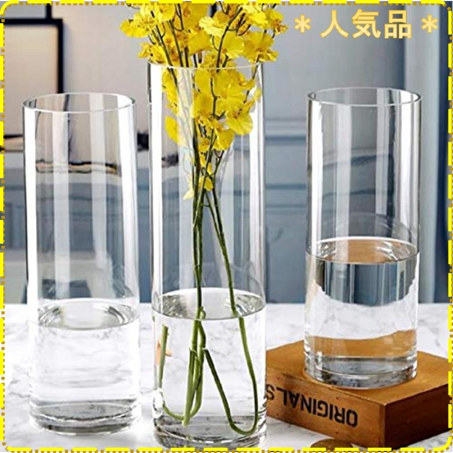ガラス 花瓶 花器 シリンダー 円柱 花瓶 ガラス 花瓶 おしゃれ 大 花瓶北欧 花瓶 30cmフラワーベース 花器 バスケ Wss 59yx51pppiq6 ジスクージ 通販 Yahoo ショッピング