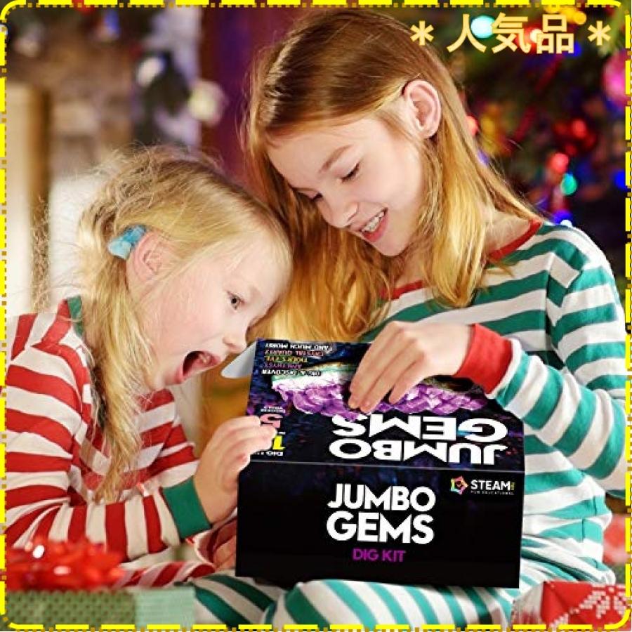 Xxtoys 宝石発掘キット おもちゃ 宝石 水晶発見 宝石 発掘 キット クリスタル 採掘 鉱石標本 おもちゃ アメジスト Wss 67g5d27deq2i ジスクージ 通販 Yahoo ショッピング