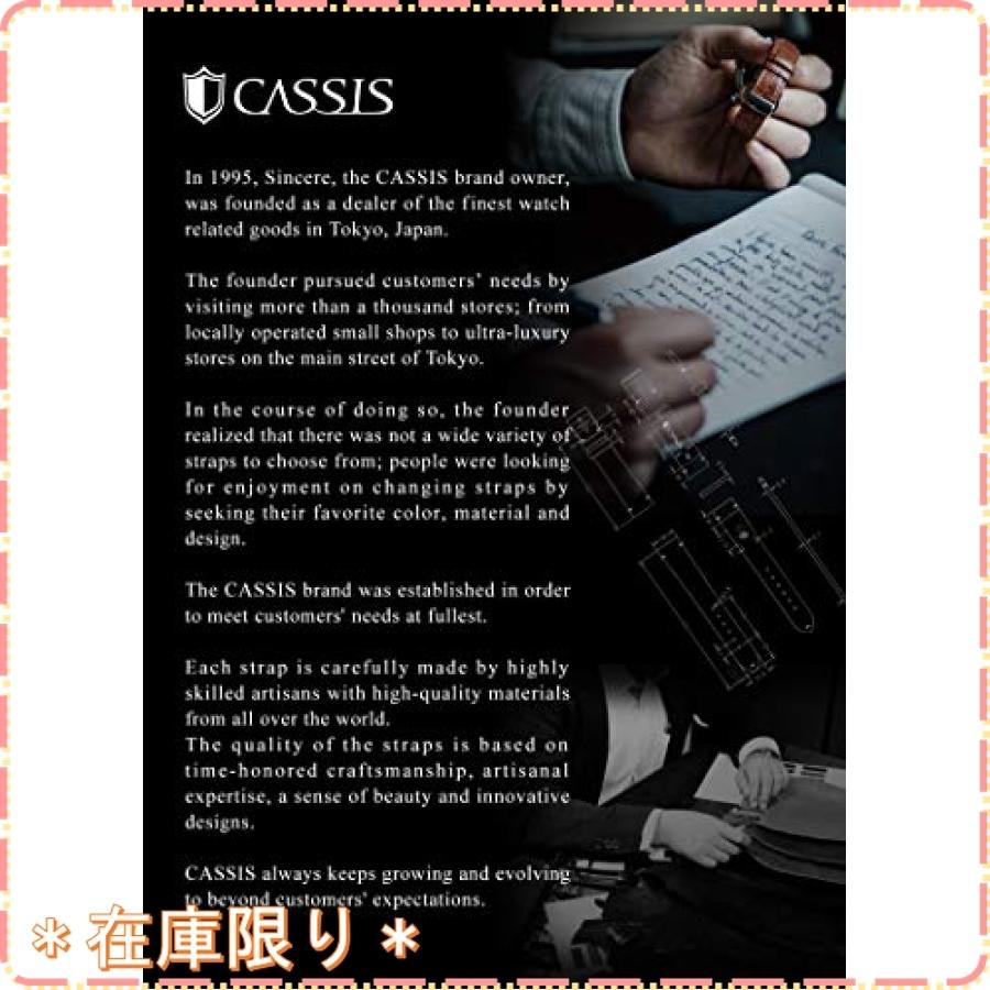 Cassis カシス ナイロン 時計ベルト Type Nato タイプナトー 22mm ブラックxグリーン 交換用工具付き 141 601s 世界の