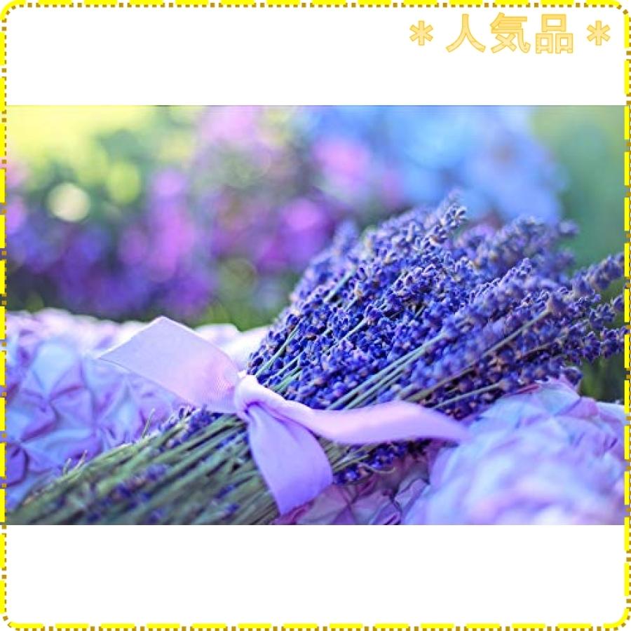 Espazion 香り プロヴァンスラベンダー サボテン造形ディフューザー ルームフレグランス芳香剤 部屋 玄関 ト Wss 903saxcpwb93 ジスクージ 通販 Yahoo ショッピング