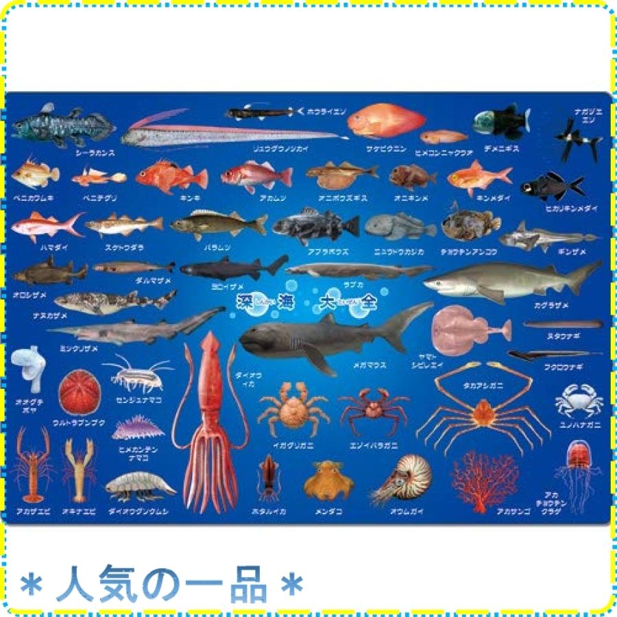 ザ アクセス 深海魚 図鑑 下敷き 深海大全 Wssj B07r44vvyb ジスクージ 通販 Yahoo ショッピング