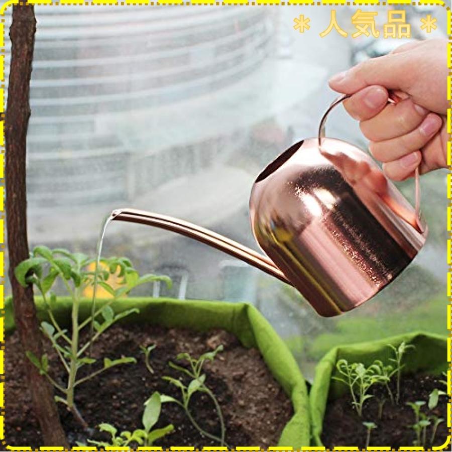 じょうろ おしゃれ ステンレス 小型 水差し 園芸 観葉植物 ジョーロ ピンクゴールド 450ml Wssj B0868gnm98 ジスクージ 通販 Yahoo ショッピング