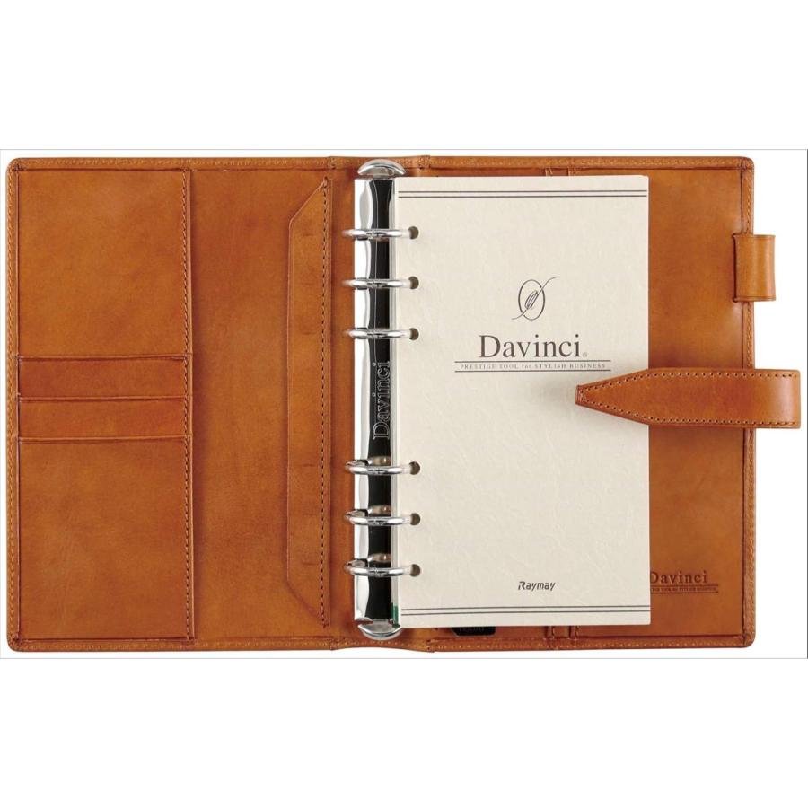 【希少本】エブリデイバイブル ロナ・ディビズ 希少本】エブリデイバイブル ロナ・ディビズ