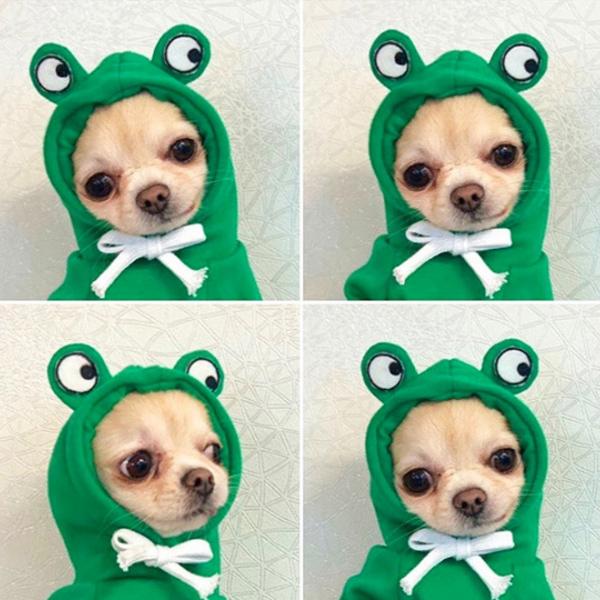 犬服 GG ハートパーカー ペット用 犬の服 パーカー スウェット カエル 大根 クリスマス ハート