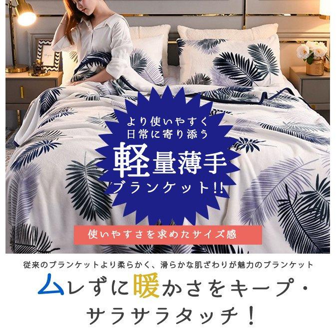 タオルケット 毛布 ブランケット 1m 2m ひざ掛け シングル セミダブル