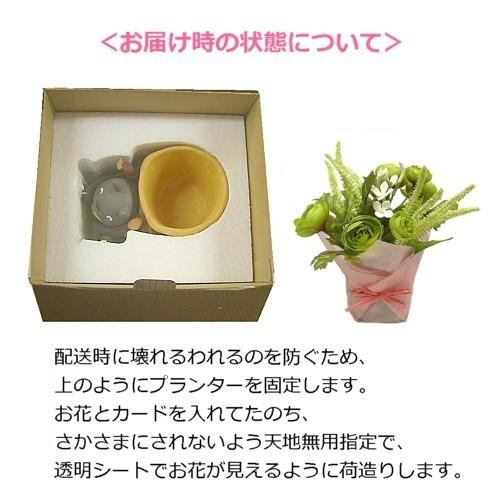 ジブリフラワーギフト となりのトトロ トトロのお届けよいこらしょ