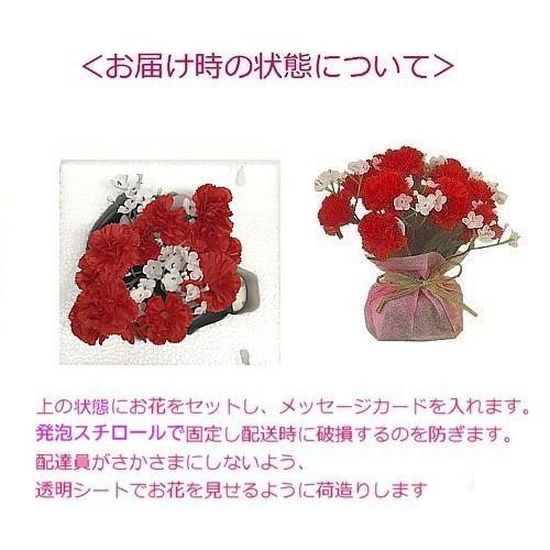 新品 箱付き 千と千尋の神隠し プランター カオナシ Amazon.co.jp: 千と千尋の神隠し ピック付ミニプランター カオナシ金の