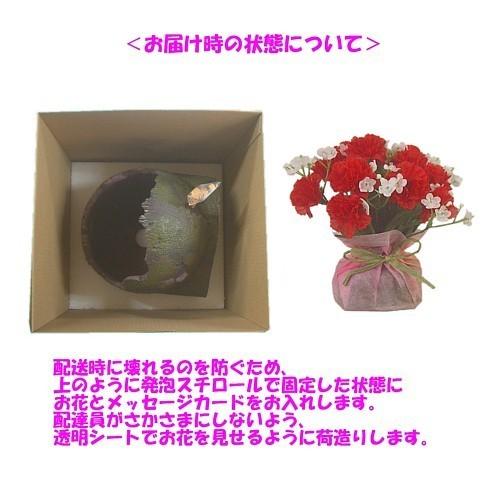 母の日ジブリフラワーギフト 天空の城ラピュタ ロボット兵の思い