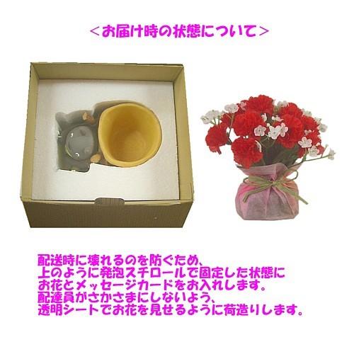 となりのトトロ　指人形　カーネーション　母の日　未使用 全国のジブリがいっぱい どんぐり共和国にて、毎年大人気の