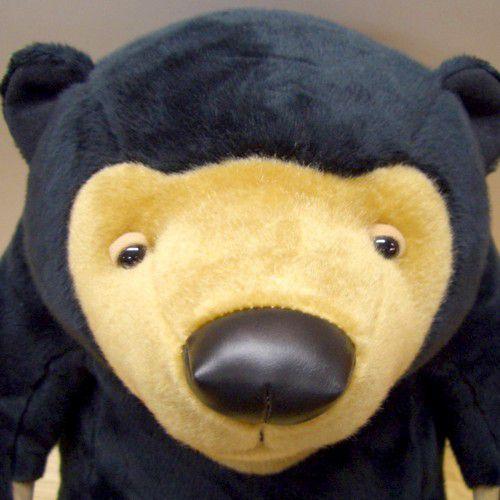 マレーグマのマレーちゃん/LLサイズ : ZOONETYahoo!店 - 通販