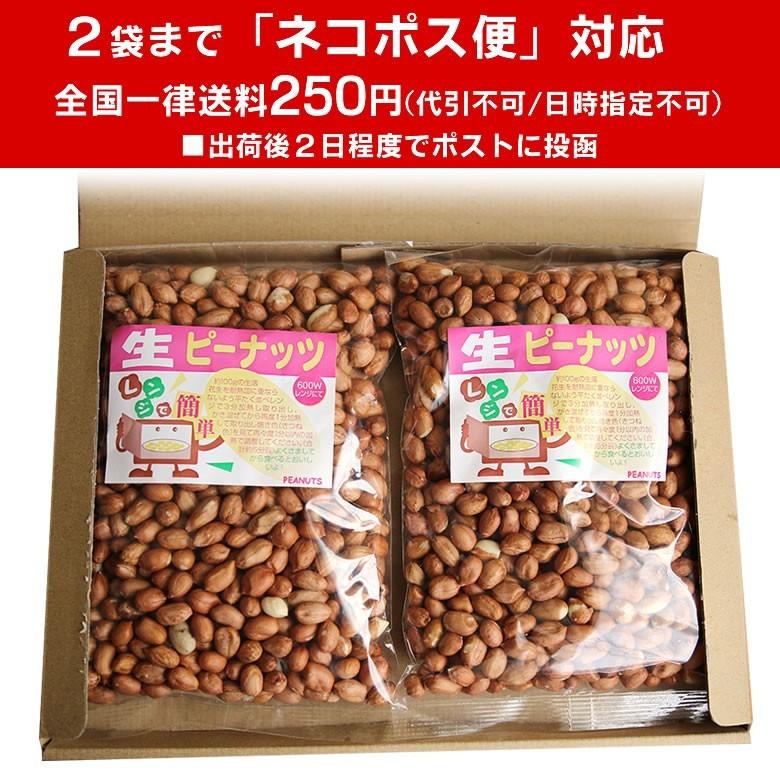 生ピーナッツ 合計1kg 500g 2袋セット アメリカ産ピーナツ 無添加 商品 ネコポス便送料無料 薄皮付 込