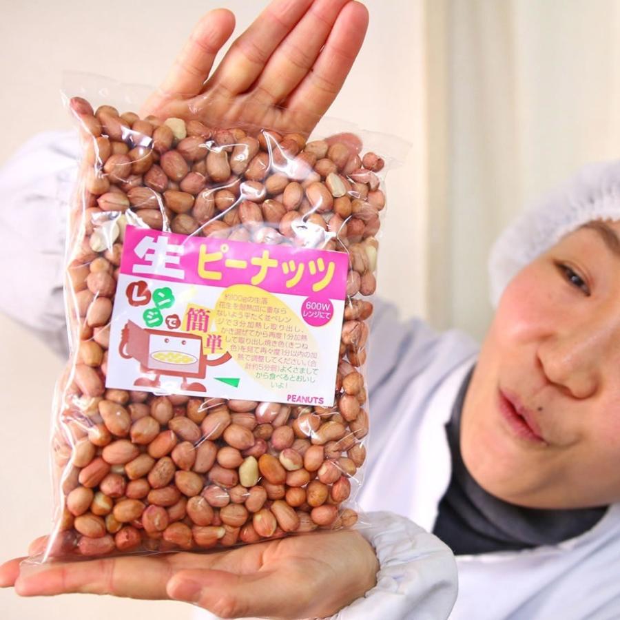 生ピーナッツ 合計1kg 500g 2袋セット アメリカ産ピーナツ 無添加 薄皮付 ネコポス便送料無料 込 Is0010 Ys ぞっこんイカ本舗 Yahoo 店 通販 Yahoo ショッピング