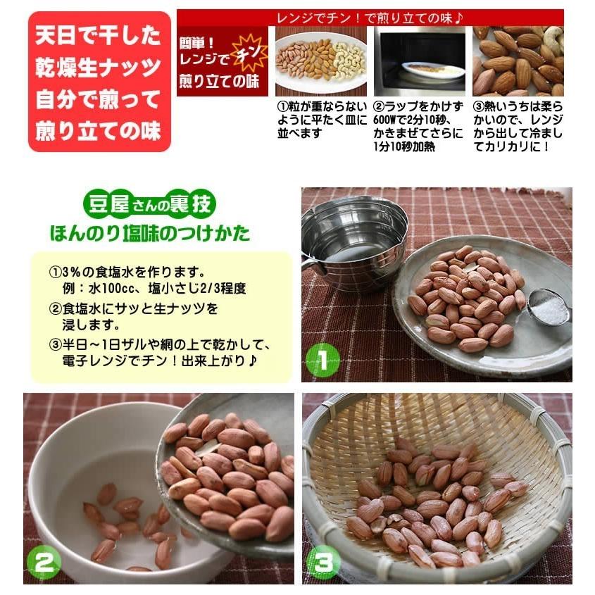 生ピーナッツ 合計1kg 500g 2袋セット アメリカ産ピーナツ 無添加 商品 ネコポス便送料無料 薄皮付 込
