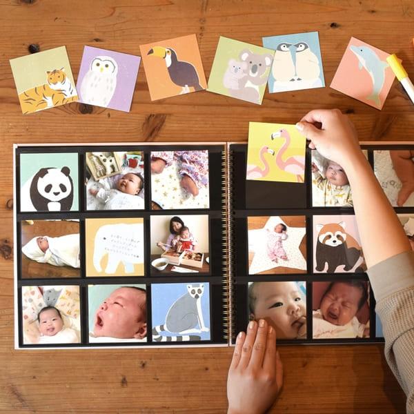 ましかくアルバム らくポッケ用 デコレーションカード どうぶつ 80-214