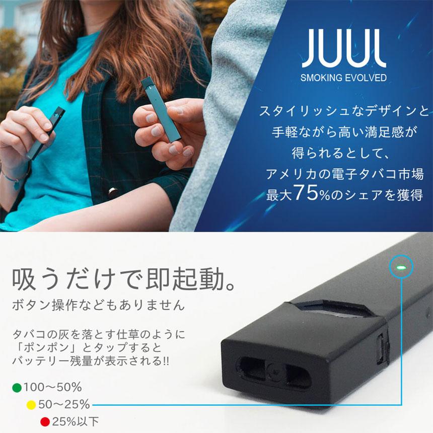 エルブジュール　ベーシックマンスリーセット エルブジュール ベーシックマンスリーセット エルブジュールベーシック