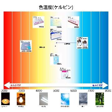 オープン記念セール半額以下！ビューティネイラー ビューティーライト(TM-1) |  | 10