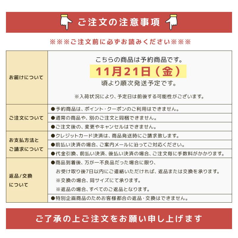 ご予約受付中 2026年 キッズ ベビー 新春福袋 6点セット ZOOMIC ズーミック ハッピーバッグ 男の子 ボーイズ 電車 くま 80-130cm | ZOOMIC | 04