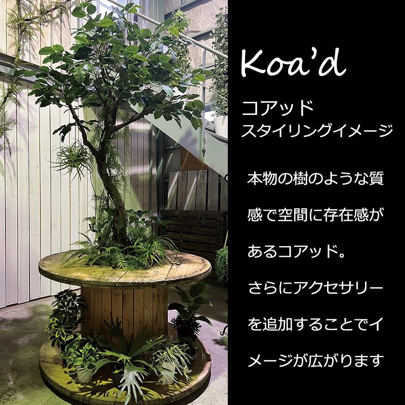 光触媒 人工観葉植物 フェイクグリーン ベンガルボダイジュコアッド