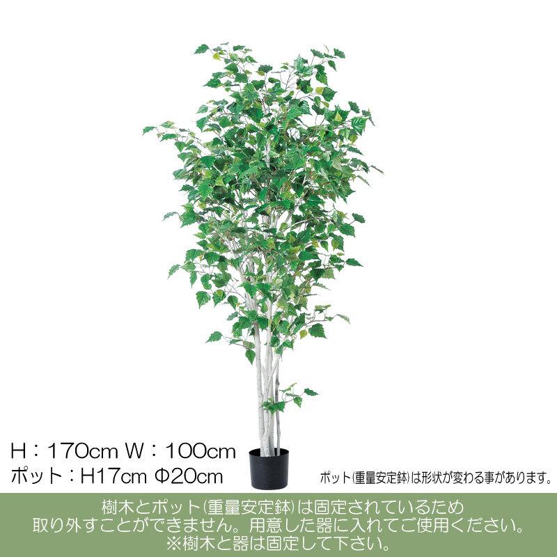 アスカ asca 大型人工樹木 フェイクツリー 商業施設 バーチツリー(ポット付) グリ−ン(as250/278)